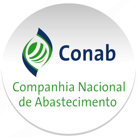 Conab disponibiliza sistema de leilões para compra de 213,5 mil