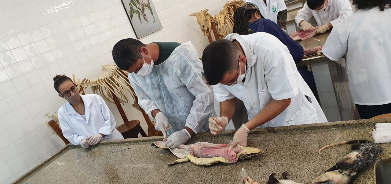 PMA e UEMS iniciam curso de taxidermia de animais silvestres e educação ambiental para Policiais, alunos e professores da UEMS, UFMS e comunidade de Aquidauana