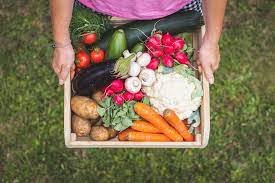 GT do Mapa busca combater as perdas e o desperdício de alimentos