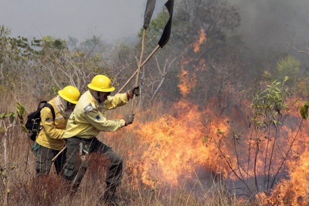 Oito Cidades Goianas Afetadas Por Incêndios Florestais Entram Em