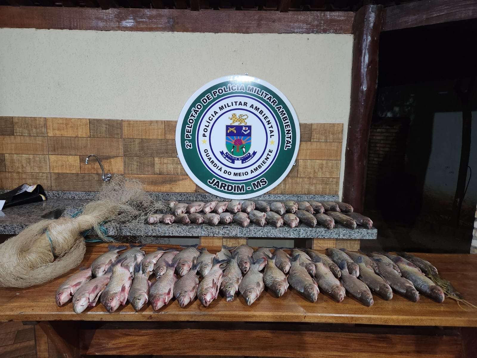 Polícia Militar Ambiental deflagra amanhã a operação Dia de Finados, com intensificação preventiva à pesca predatória e proteção aos cardumes