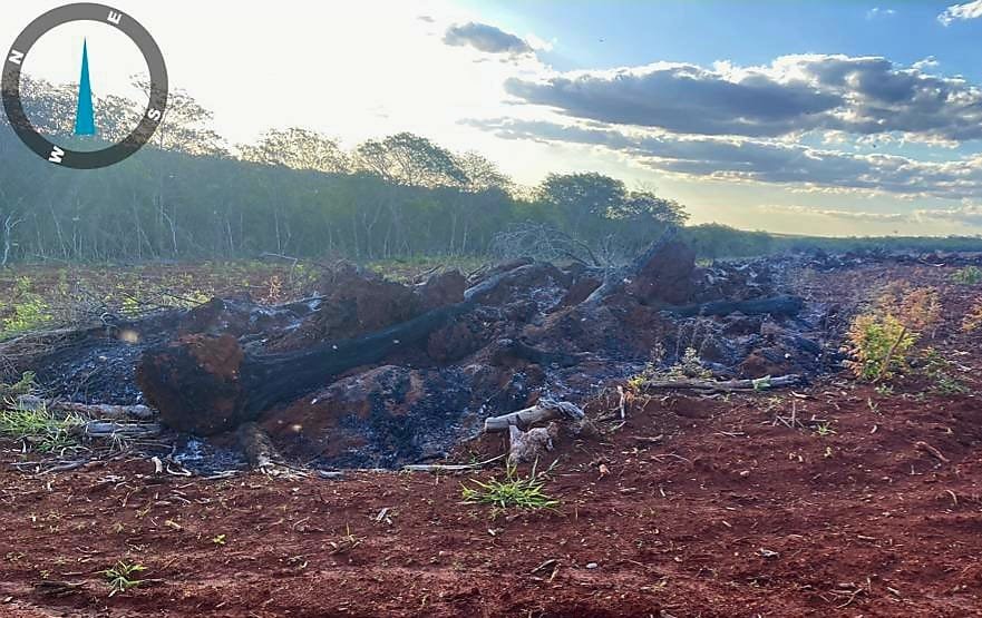 PMA de São Gabriel do Oeste autua infrator em R$ 22 mil durante a operação Prolepse por incendiar restos de vegetação em leiras neste período proibido