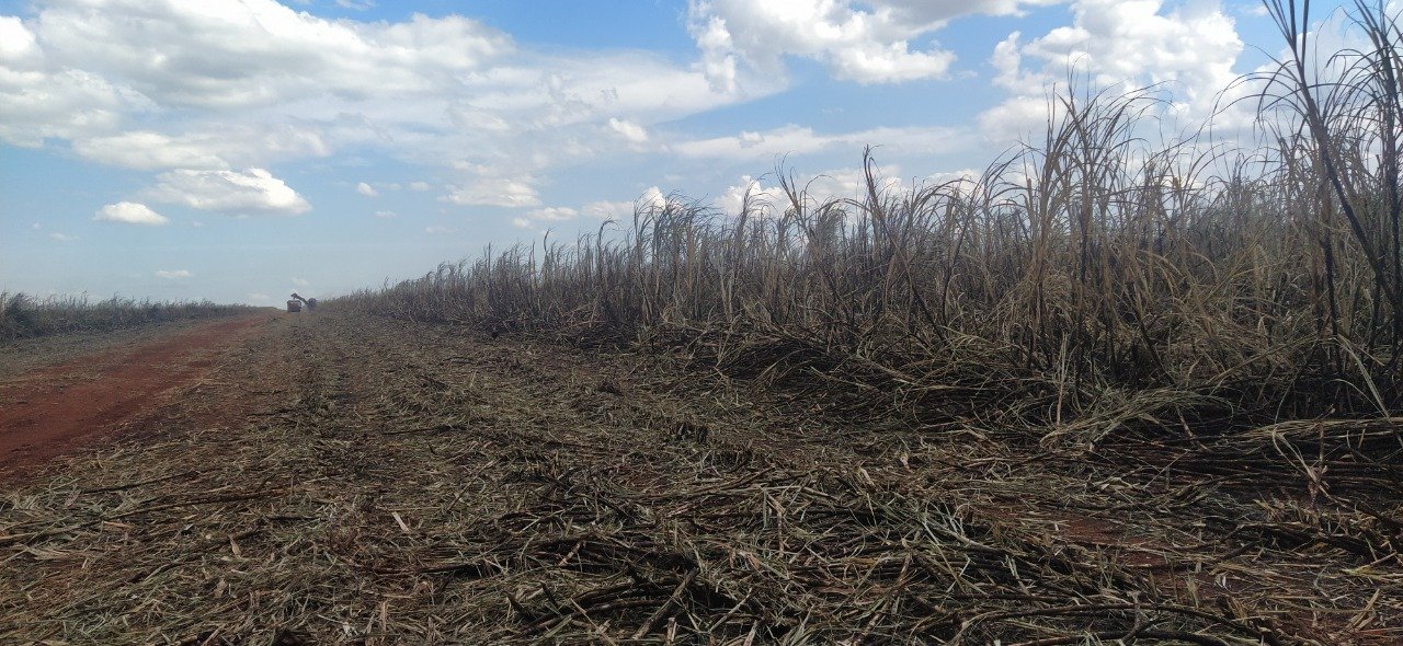 PMA de Dourados autua usina sucroenergética de Rio Brilhante em R$ 163 mil por incêndio em palhada para colheita da cana-de-açúcar