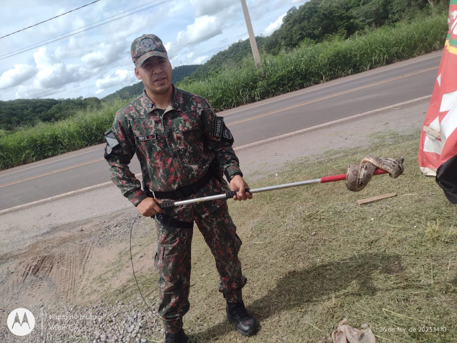 PMA de Corumbá é chamada para capturar duas jiboias em menos de duas horas na cidade