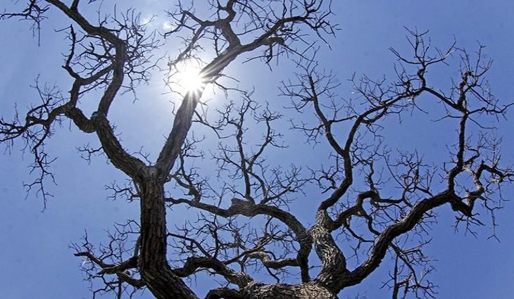 Temperaturas caem e domingo de Páscoa deve ter frio em regiões de MS