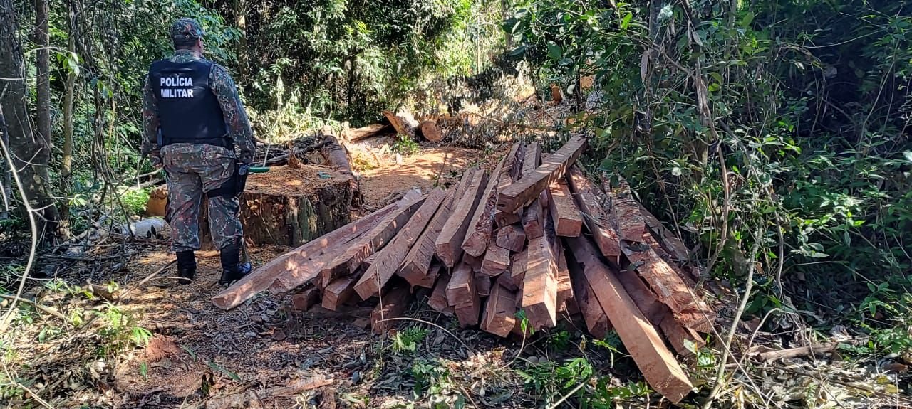 Operação Peroba Rosa – Combate a Extração Ilegal de Madeira em Reserva Legal de Assentamentos Rurais