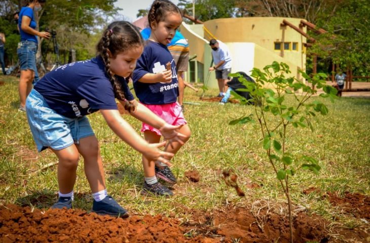 “Não basta plantar, tem que cuidar”, ação da Agems vai monitorar e realizar novos plantios no Parque dos Poderes