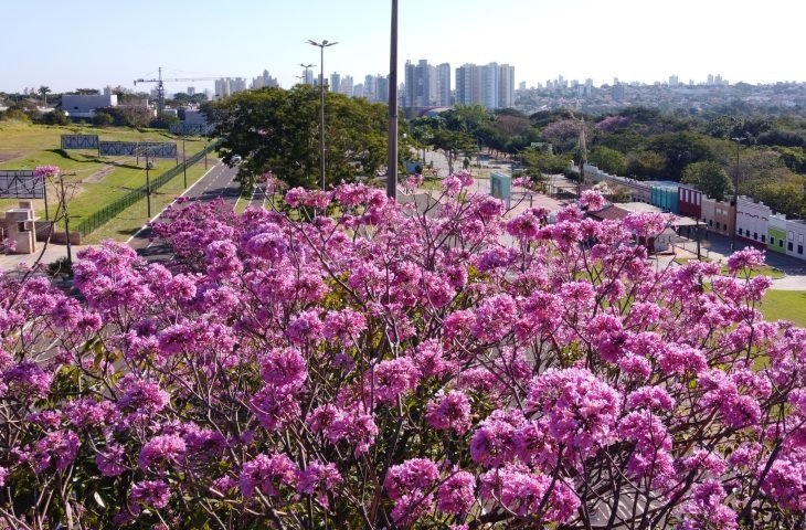 Tempo permanece estável na quinta-feira em Mato Grosso do Sul, prevê Cemtec