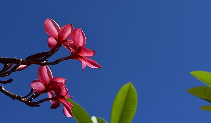 Terça-feira de tempo estável, com sol e baixa umidade do ar