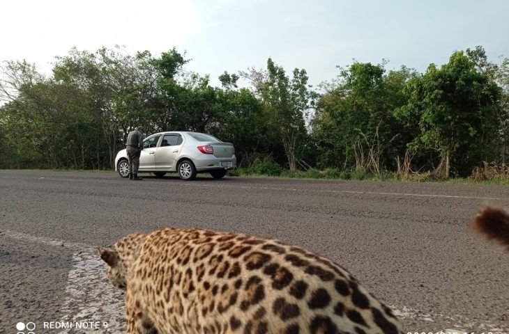 Polícia Militar Ambiental realiza barreiras educativas e reforça patrulhamento durante feriadão