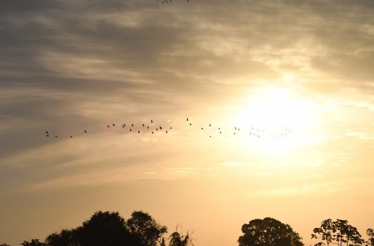 Quinta-feira tem previsão de altas temperaturas e pode bater recorde em MS