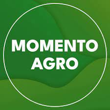 AGRO – Resultados das safras de milho, sorgo e trigo