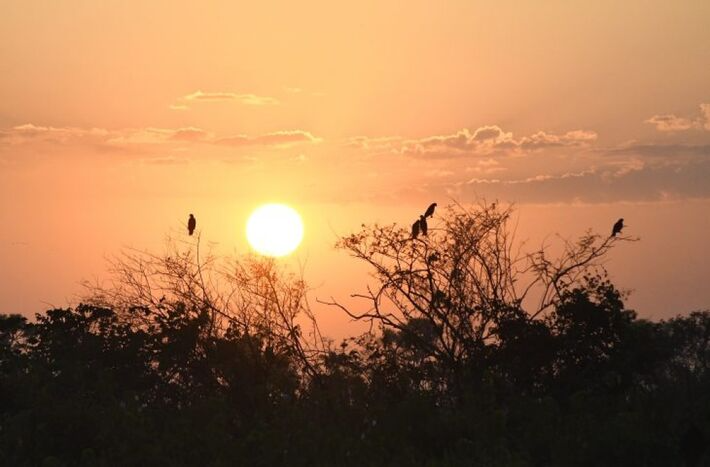 Previsão do tempo aponta tempo firme e aumento de temperaturas nesta quarta em MS