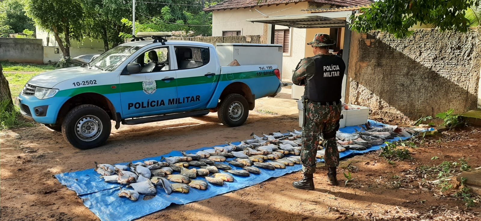 Operação Piracema: Ações Intensificadas e Resultados Significativos Contra a Pesca Predatória