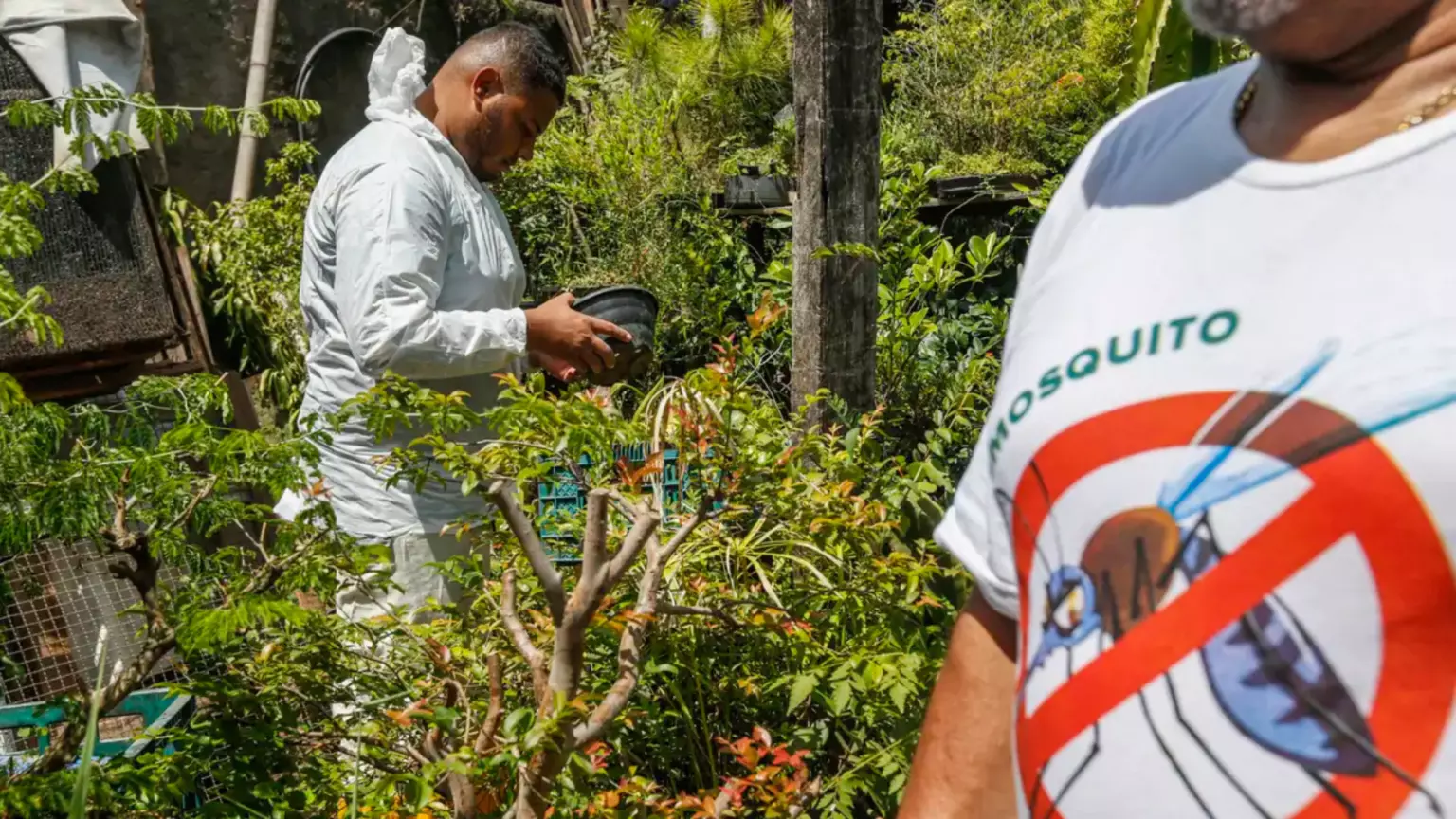 Dia D contra dengue promove ações de conscientização em todo o Brasil